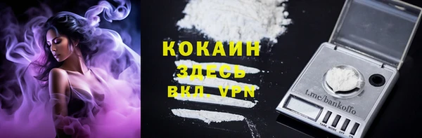 мяу мяу мука Баксан
